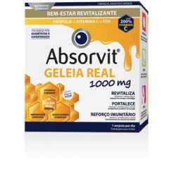 Absorvit Geleia real solução oral 20 ampolas 