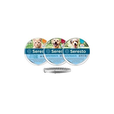 Seresto coleira cão 70 cm +8 kg