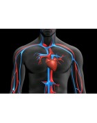 Sistema cardio-vascular 